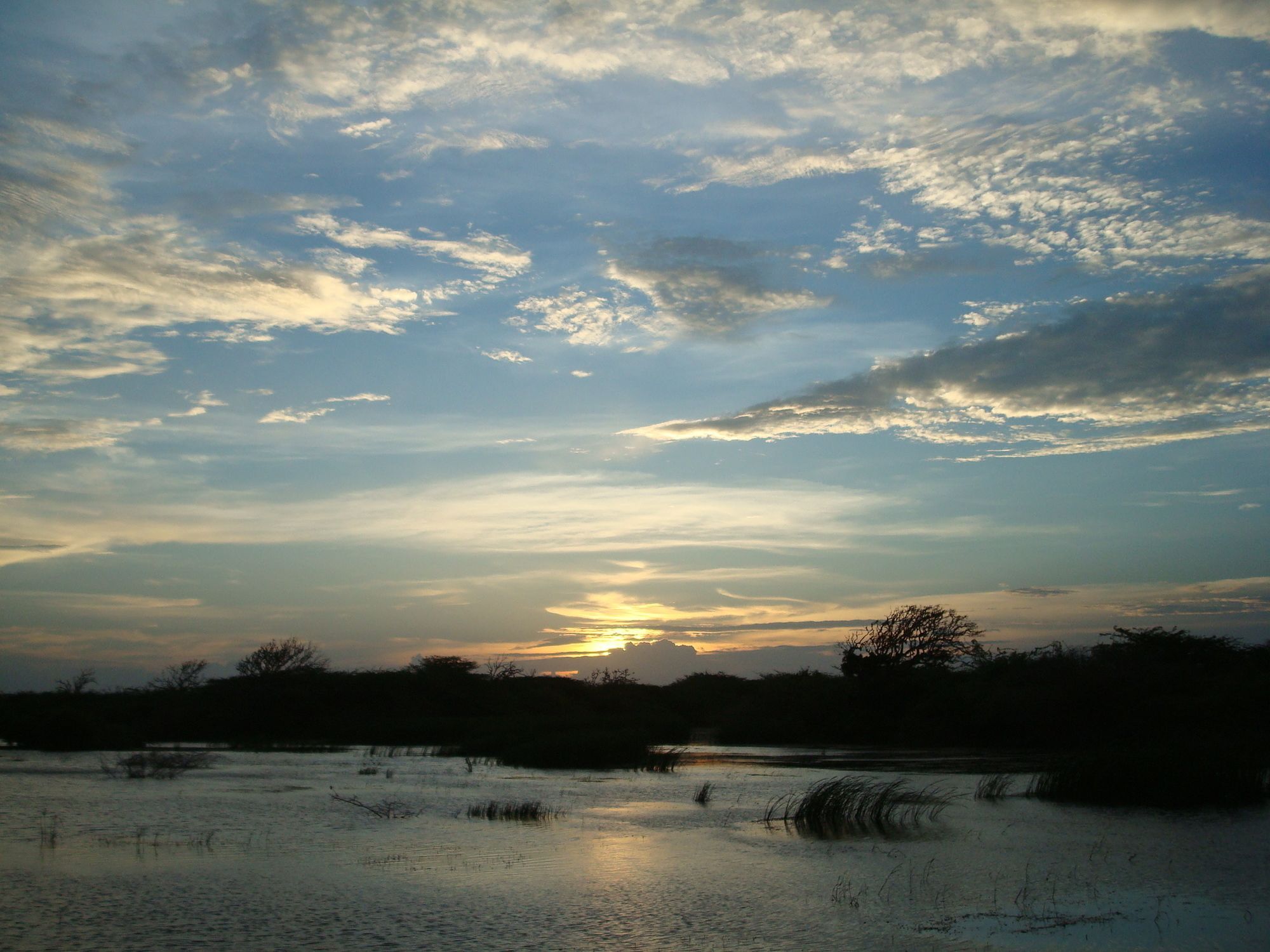 Mahoora Tented Safari Camp Bundala Hambantota Exterior foto